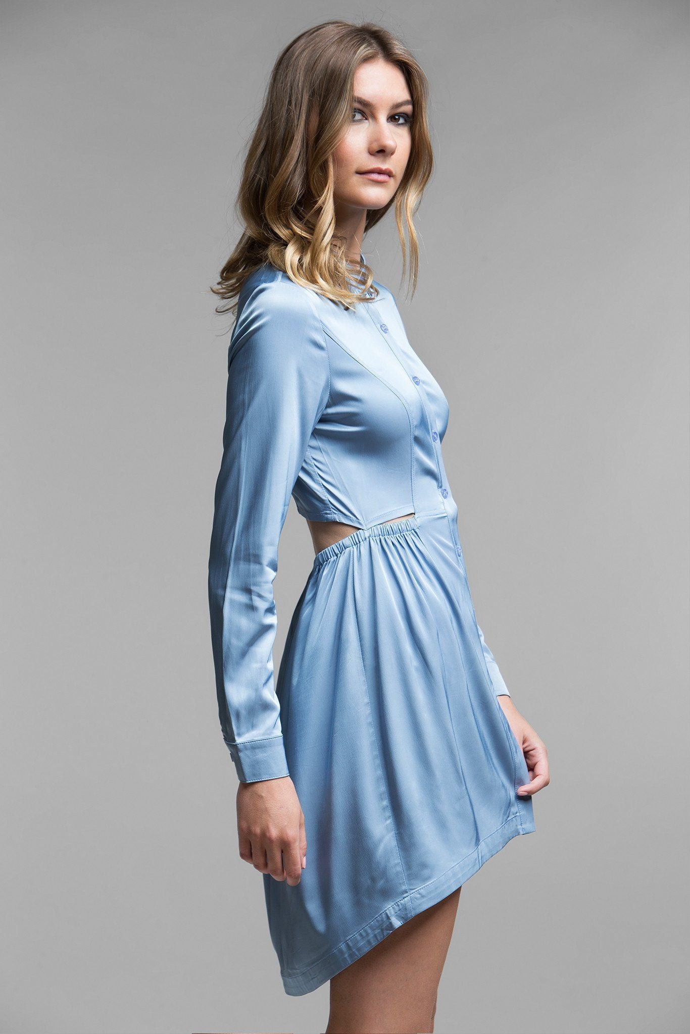 Juliette Button-Up Dress